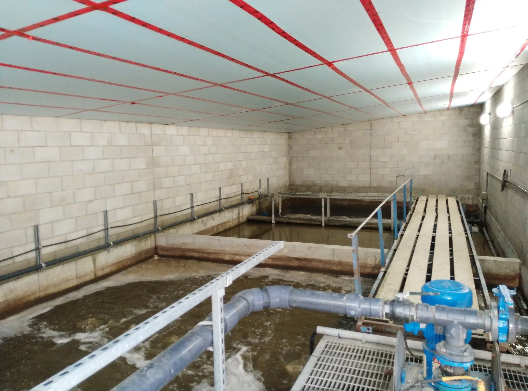 Project gallery image 12